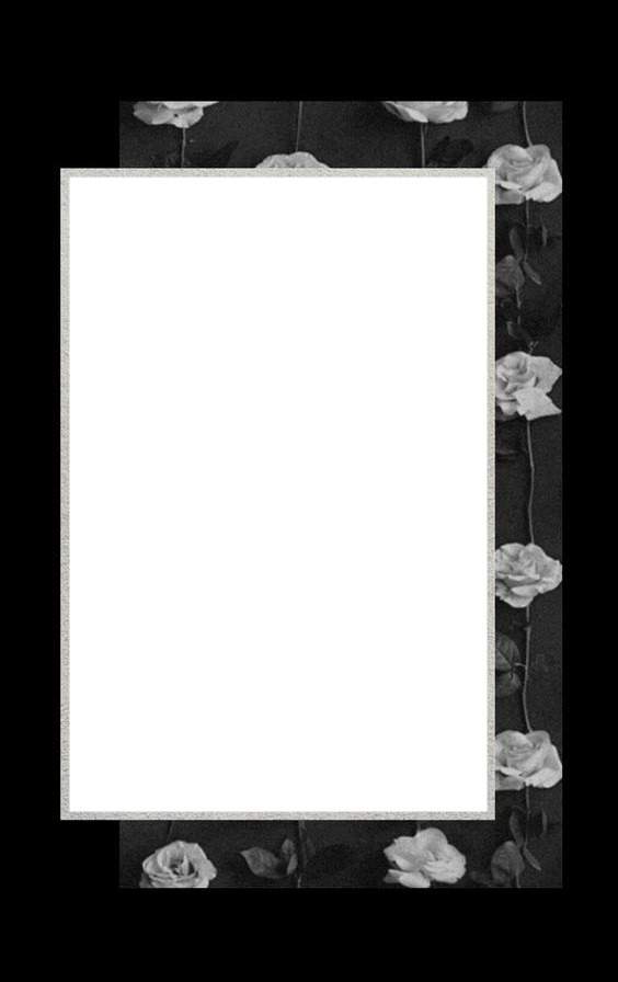 marco en rosas blancas, fondo negro. Photomontage