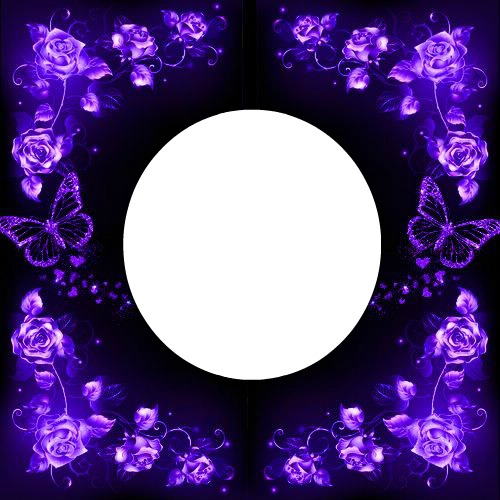 purple Photo frame effect