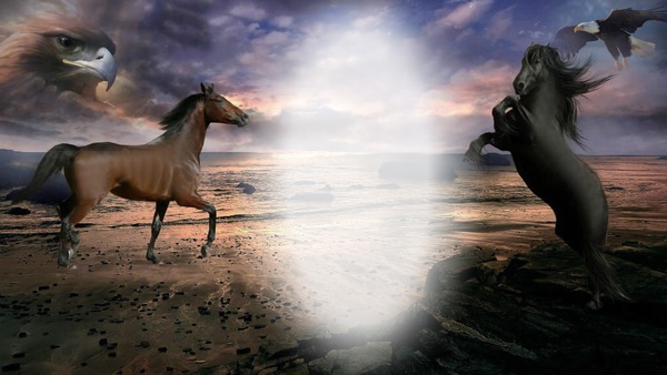 Tony Horse Fotomontage