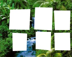 tropical Fotomontage