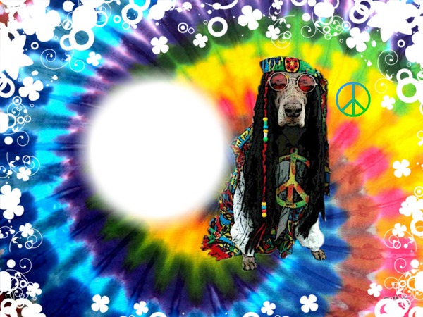 hippie dog Photo frame effect