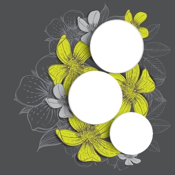tres círculos sobre flores amarillas. Фотомонтаж