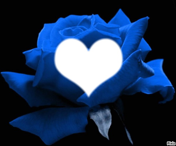 fleur bleu Fotómontázs