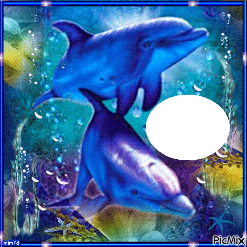 J'adore les  dauphins Montage photo