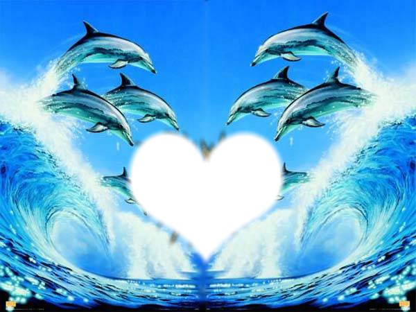 delfines Valokuvamontaasi