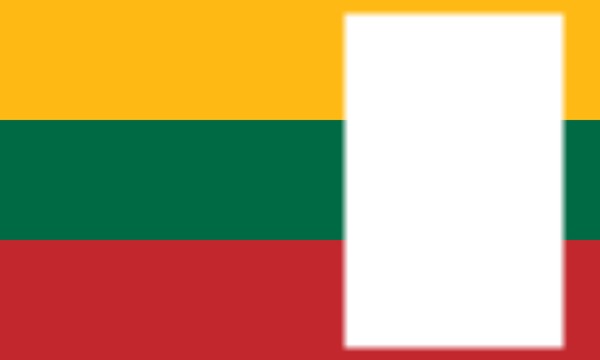 Lithuania flag Photo frame effect