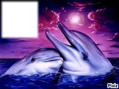 Dauphins Photo frame effect