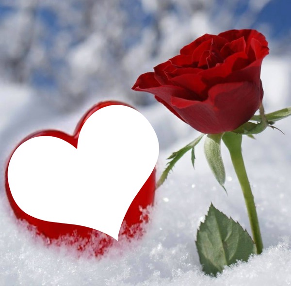Photo montage une rose et un coeur dans la neige Pixiz