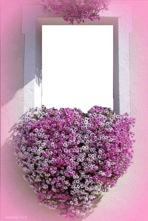 corazón de flores lila en ventana. Fotomontaža