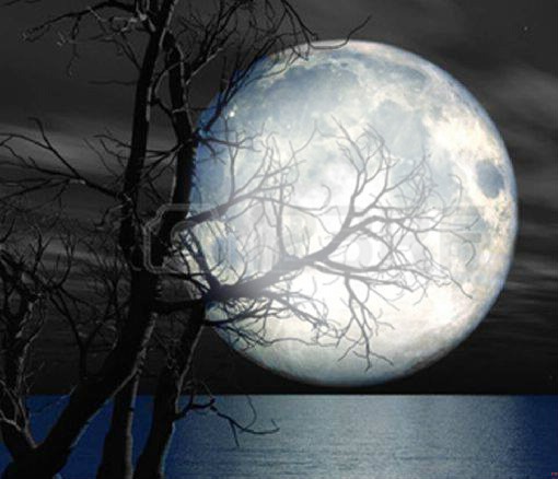 Moonlight Montaje fotografico