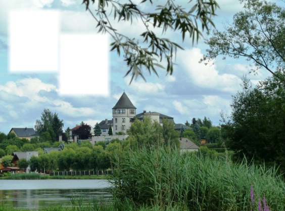 chateau Vit Montaje fotografico