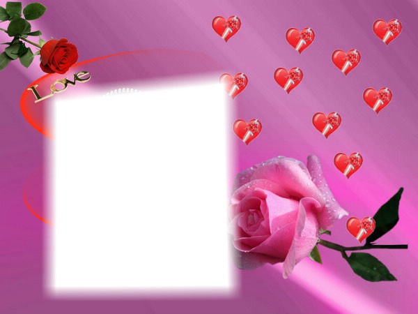 love rose Fotomontage