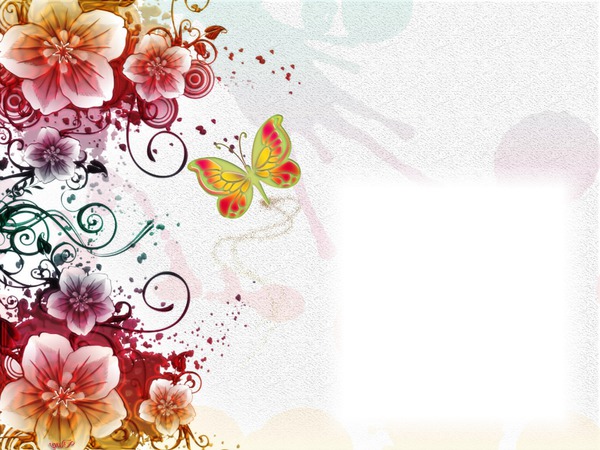 Fleurs multicolores-papillon Fotomontasje