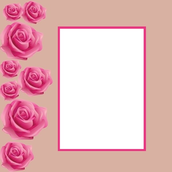 marco y rosas rosadas. Fotomontaža
