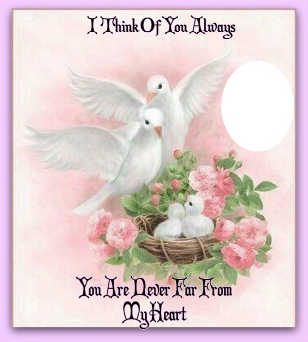 i think of you always Photo frame effect