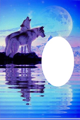 couple loups blanc Photomontage