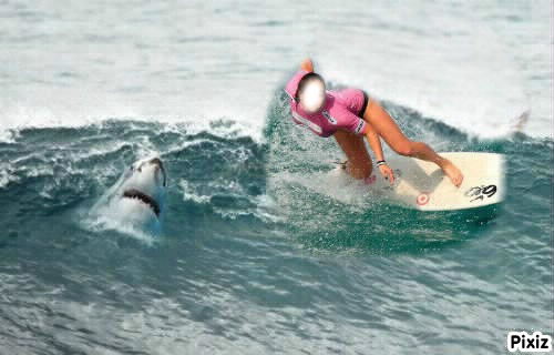 surf requin Φωτομοντάζ
