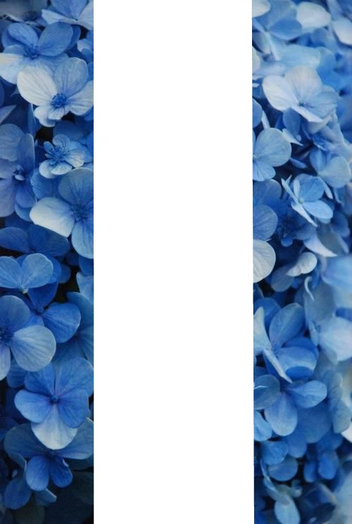 blue flower フォトモンタージュ