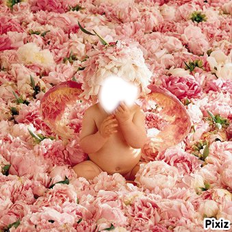 anne geddes bebe rose Фотомонтаж