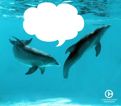 dauphins Fotomontage