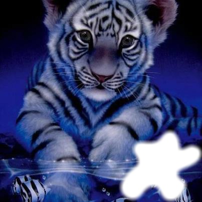 tigre Fotomontasje
