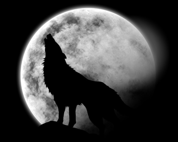 Spirit wolf Fotomontasje