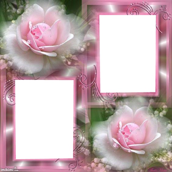 pink flowers フォトモンタージュ