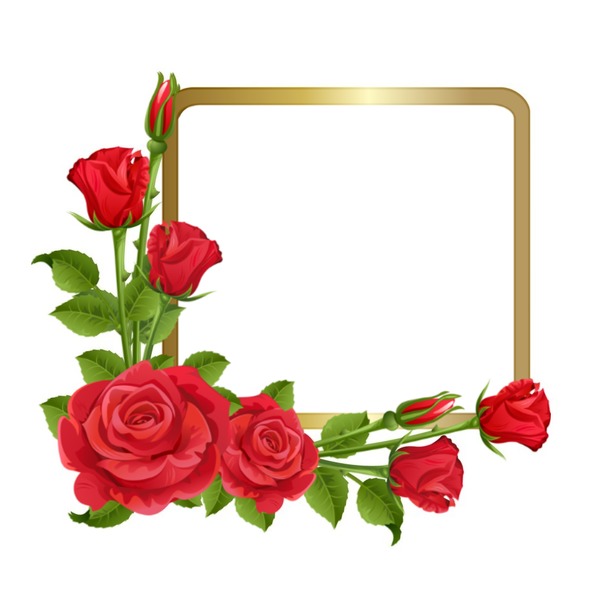 marco dorado y rosas rojas para una foto. Фотомонтаж