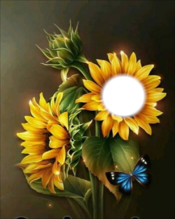 sunflowers Fotomontāža