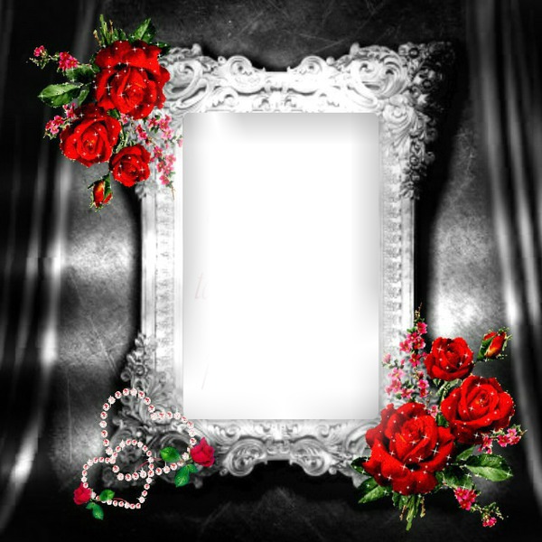 Roses rouge Fotomontaż