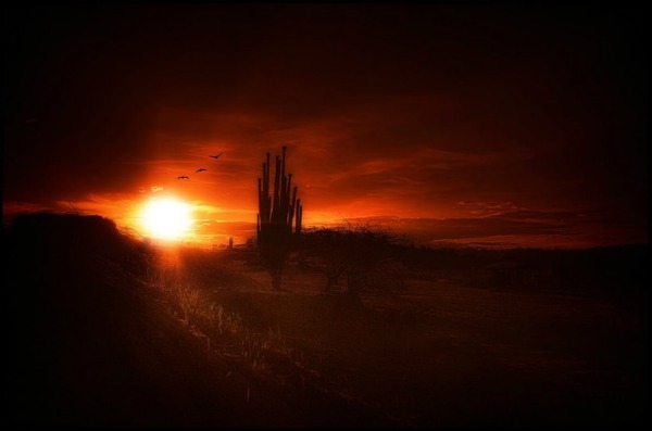 Sunset Photomontage