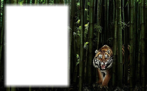 Tigris Fotomontaggio