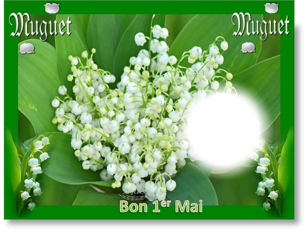 Bouquet de muguet Фотомонтаж