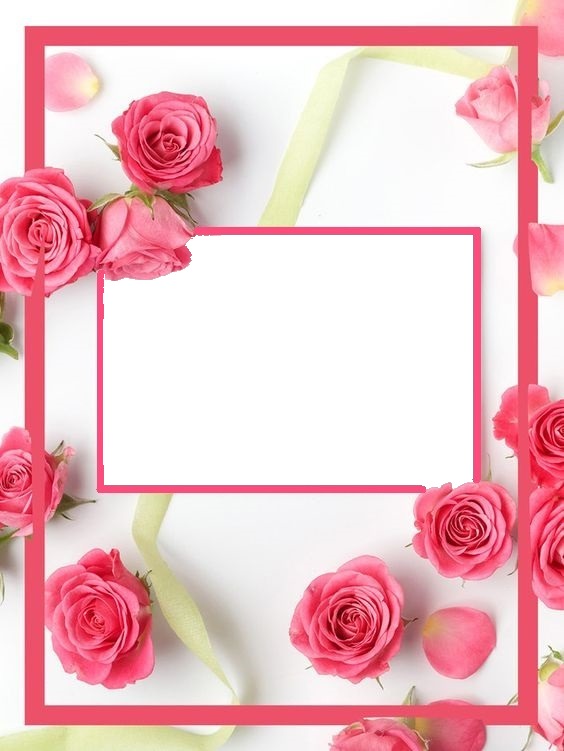 marco y rosas rosadas. Fotomontage
