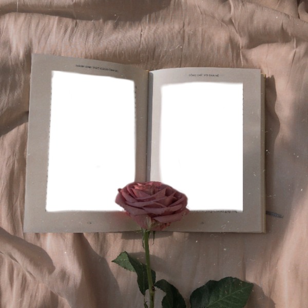 Mi libro y una rosa, 2 fotos Fotomontáž