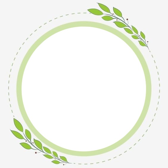 marco circular , verde olivo, una foto. Montaje fotografico