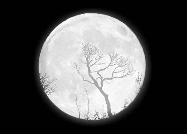 Luna Fotomontage