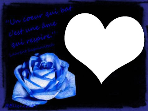 rose bleu Fotomontagem