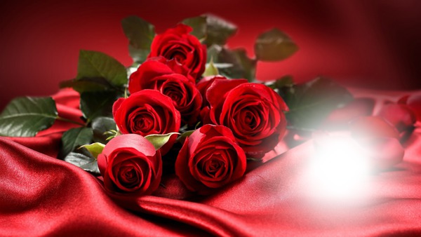 roses rouge Φωτομοντάζ