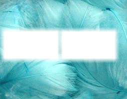 les plumes bleu Valokuvamontaasi