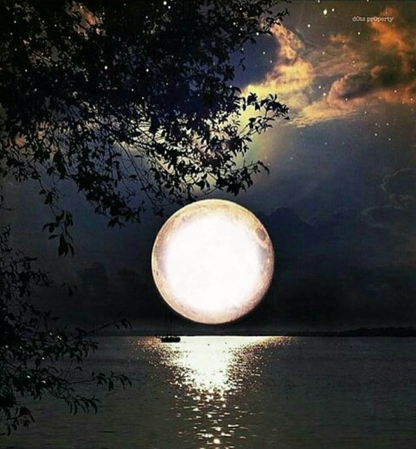 moon stars ocean night Photo frame effect