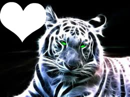 tigre blanc Fotomontaggio