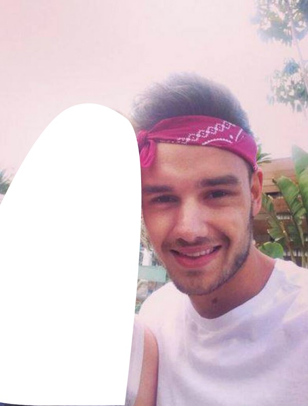 Liam and Fan Montage photo