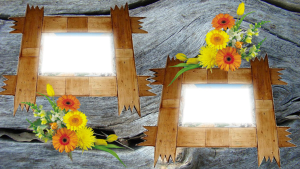 cadre fleurs et bois Montaje fotografico