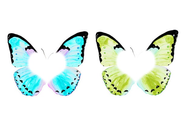 papillons Montaje fotografico