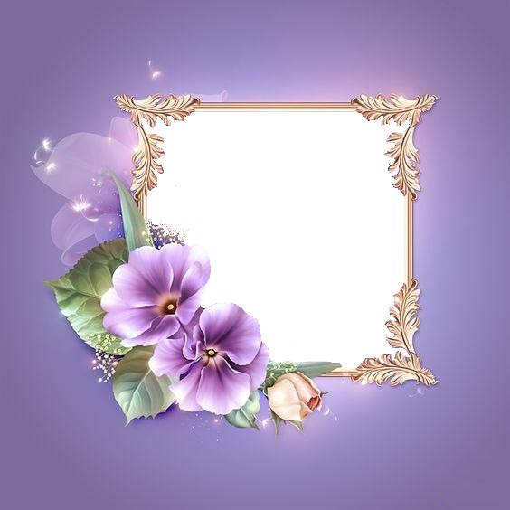 marco y flores lila. Fotomontage