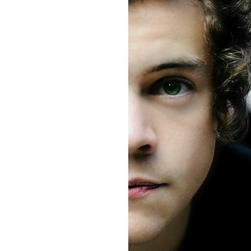 Harry Half Face Fotomontaż