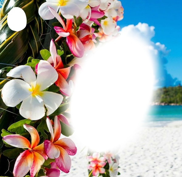 fleur des îles Fotomontage