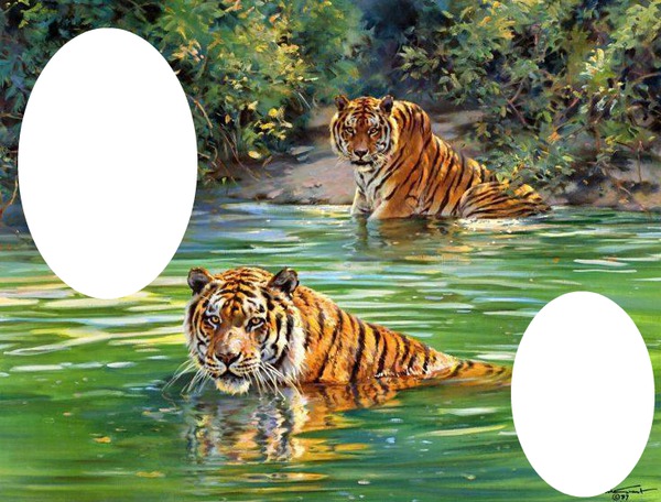 tigre Fotomontagem