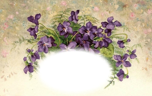 violettes Photomontage
